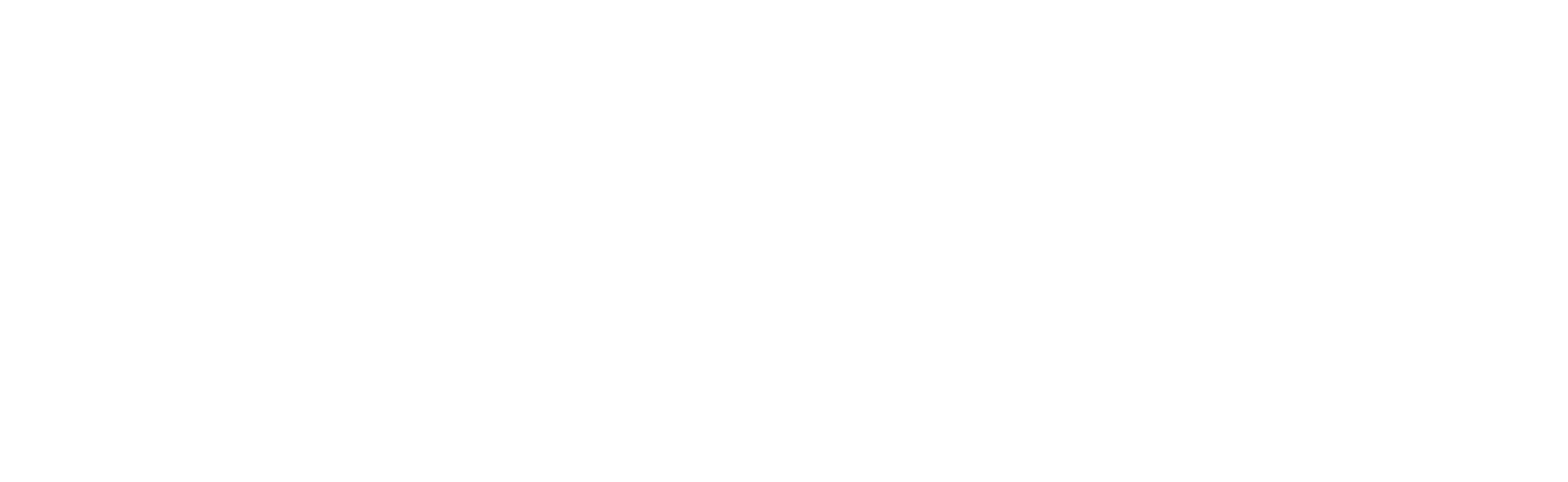 SIMETRY Logo